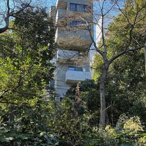 高輪の住まい