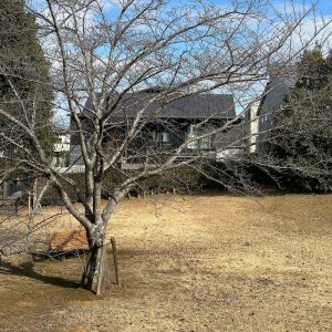 大網白里の住まい